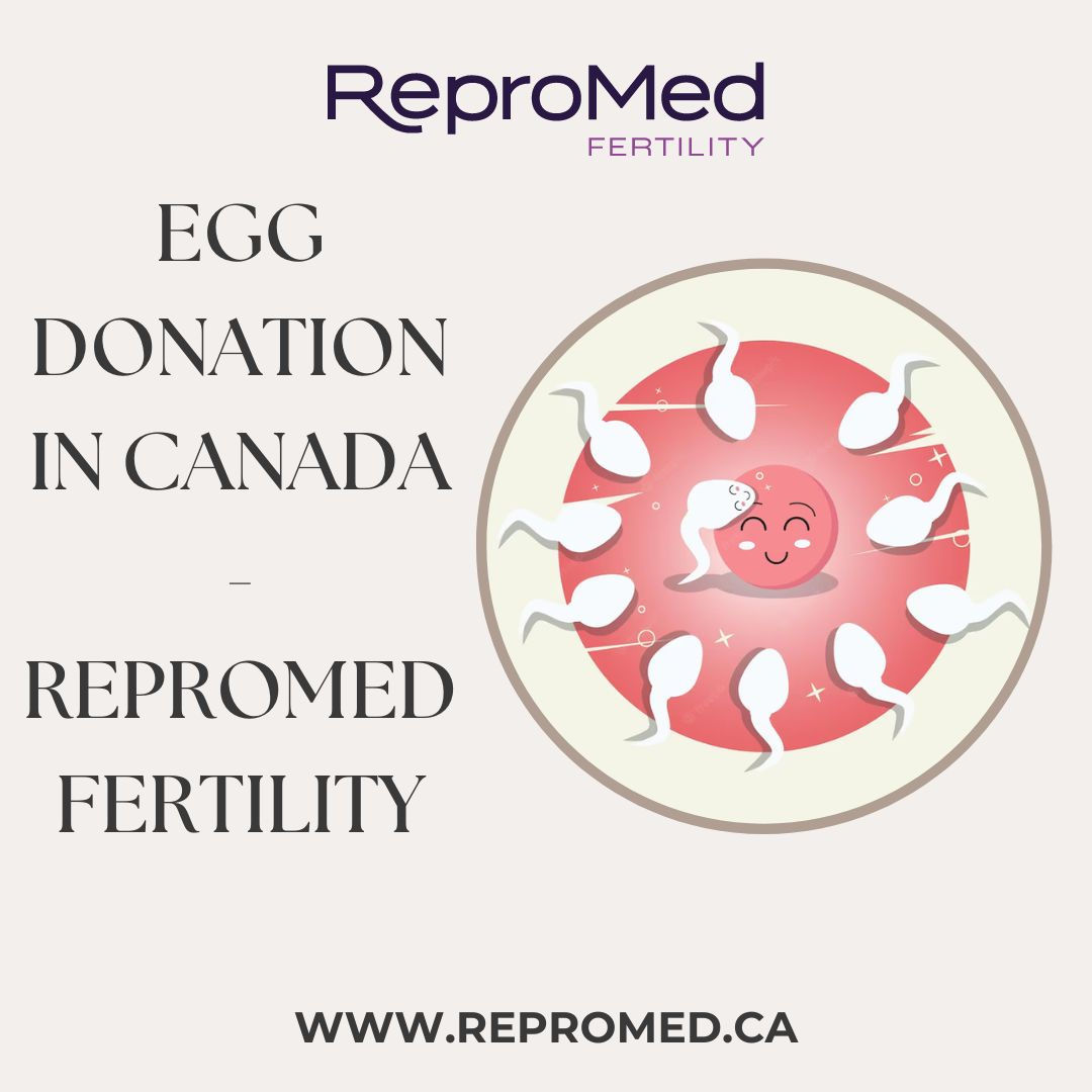 Egg Donation Canada ReproMed Fertility by ReproMed Fertility on Dribbble