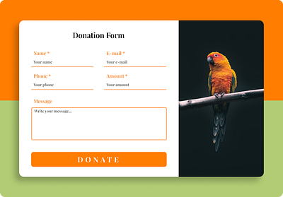 Donation Form design figma form ui webdesign