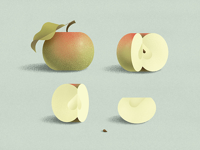 A seed story apple botany digitalpainting fruit geometric illustration nature plant