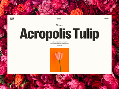 FLWR. Tulips branding composition design flowers graphic design logo orange tulip typography ui web website