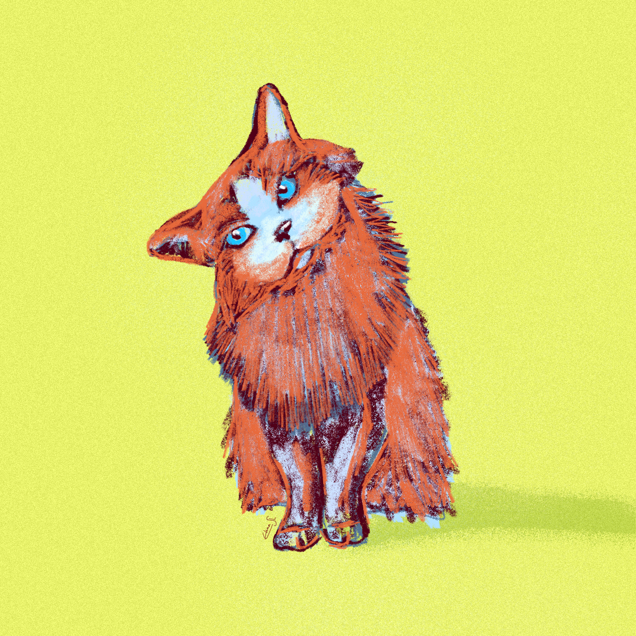 Miau! 🐈 2d animal animal design artwork cartoon cat character character design colorful colourful concept concept art digital artwork fluffy illustration look procreate procreate illustration vector illustration yellow