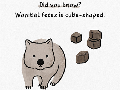 Wombats poop cubes animal did you know digital art digital illustration feces fun fact illust illustration jormation poop wild life wombat