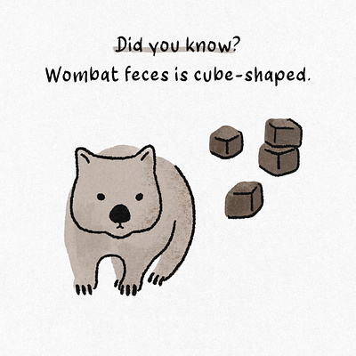 Wombats poop cubes animal did you know digital art digital illustration feces fun fact illust illustration jormation poop wild life wombat