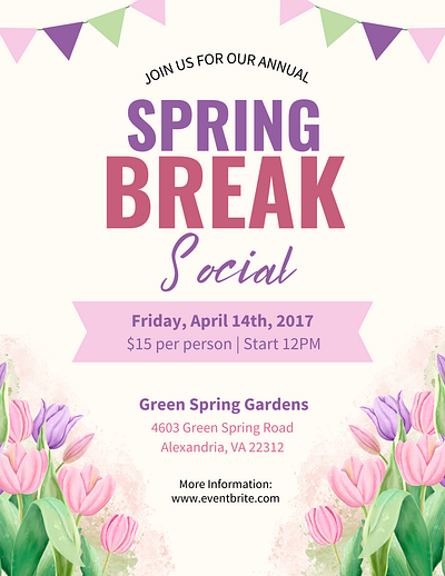 Spring Break Social Flyer design graphic design illustration typography