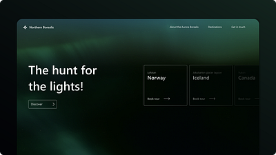 Northern Borealis | Landing Page adobexd branding design figma ui uxui webdesign webpage