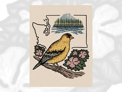 Willow Goldfinch birds design drawing flowers illustration rhododendron washington willowgoldfinch