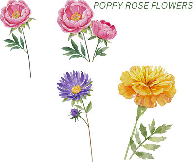 poppy rose flower clipart flower poppy rose