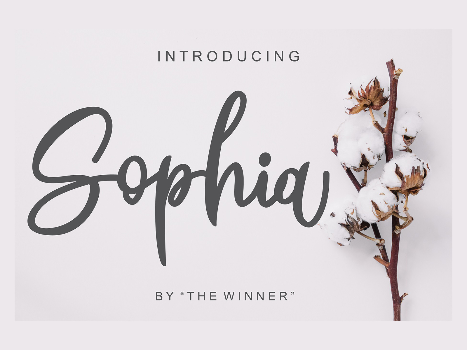 Sophia Font by The1stWinner | Abishay Azarya W. S. on Dribbble