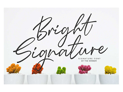 Bright Signature Font art
