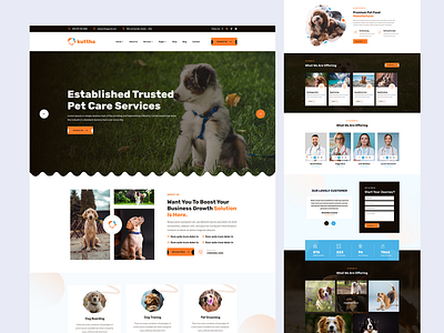 Pet Care Landing page agency branding business cleaning company corporate design illustration
