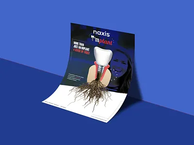 Naxis | Brochure | Printer design branding design graphic design typography