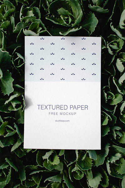 Free Textured Paper on Green Leaves Mockup branding free download free mockup free psd mockup freebie mockup mockup download paper paper mockup textured paper