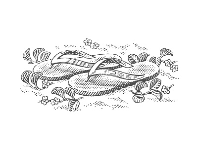 Rubbah Slippahs for Lanikai beer label beach beer engraving etching hawaii illustration label pen and ink slippahs vector engraving woodcut