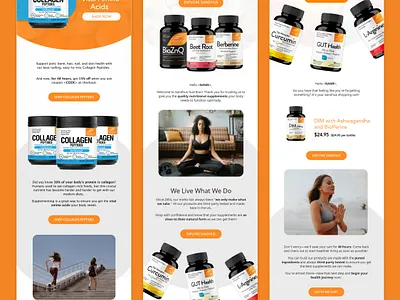 Sandhus Nutrition Email Design branding design email email design graphic design illustration ui ux