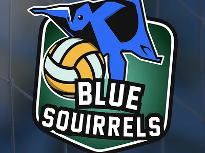 Volleyball Team Logo branding illustration logo sports team team vector volleyball