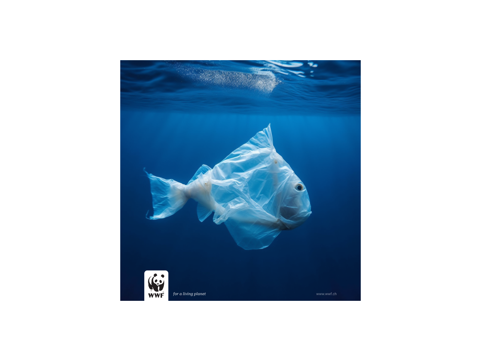 Marine Metamorphosis. Plastic Fish. eco ecology plastic plastic reduction poster recycle recycling sustainability world wide fund for nature worldwidefund