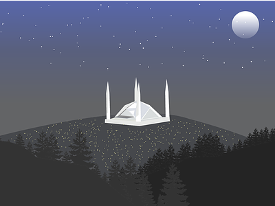 Faisal mosque night sky illustration design graphic design illustration