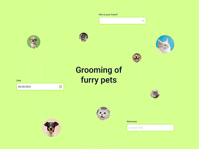 Grooming for pets design ios app ui ux