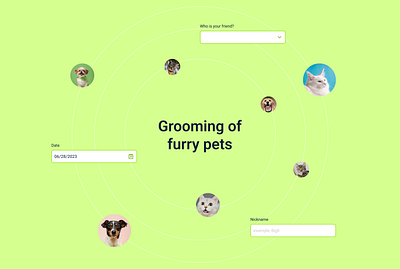 Grooming for pets design ios app ui ux