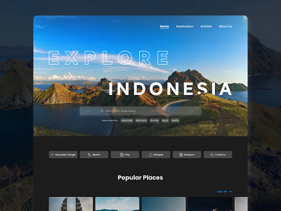 Landing Page Web Travel dark destination travel web ui web uiux uiux website