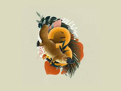 Platypus 3 36 days of type animal illustration book illustration brand brand identity branding branding design flora fauna illustration illustration art illustrator logo nature nature illustration numbers platypus type ui wildlife wildlife art
