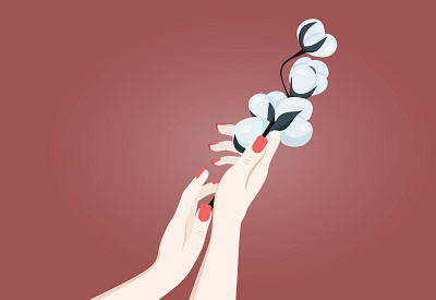 Illustration of Cotton branding graphic design illustration vector