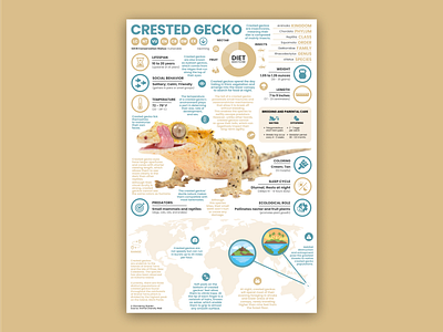 Crested Gecko Poster crested gecko education gecko gecko art reptile reptile poster