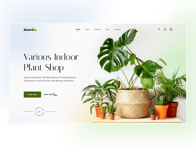 Website design: Plant app app design branding design figma illustration rokshanakter ui ux