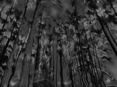 Dark trees blurry digital art distorted forest illustration strange surreal trees weird woods