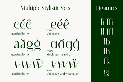 Sotira Typeface branding design font font design graphic design logo modern font package design poster design sans serif sans serif font type design typeface typeface design