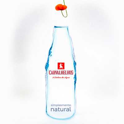 Simply natural - Água de Carvalhelhos ad advertisement art director design graphic design illustrator photoshop social media