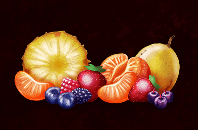 Fruit Illustrations for Premium Jam - Fanny fruit illustration fruits illustration jam label traditional art