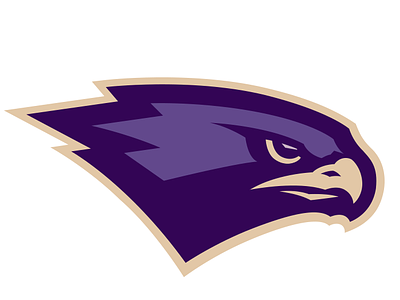 Hawk Sports Logo For Sale baseball basketball bird eportslogo football hawk hockey lacrosse mascotlogo pickleball soccer softball sportslogo teamlogo volleyball