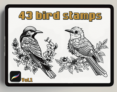 Feathered Friends: 43 Bird Stamps for Procreate 3d ancientgreece animation architecturalelements armorandweapons branding design digitalstamps graphic design historicalart illustration logo motion graphics procreatestamps tattoodesign ui