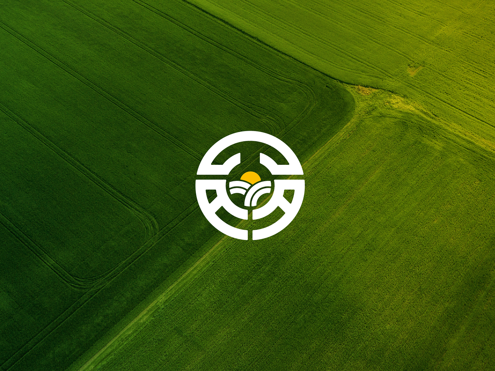 Agriculture Brand identity 2023 by Md Shamim Ahmed on Dribbble