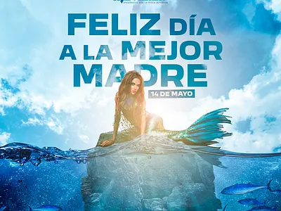 SOCIAL MEDIA PARA MOVIDICK