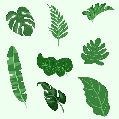 callection leaves illustration leaves pattren vector