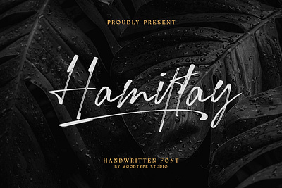 Hamiltay - Handwritting Font branding brush font fashion graphic design handwritting font logo modern script typography vector