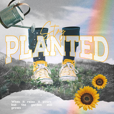 Stay Planted collage design digitalcollage graphic design photoshop