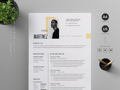 Resume/CV vector