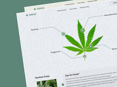 Ganja | Web Design design ganja heroseciton landingpage marijuana narkoba ui website