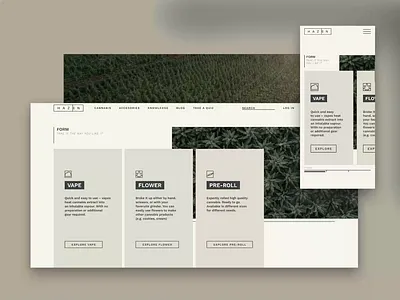 Cannabis E-Commerce animation beige cannabis cbd design desktop e commerce ecommerce indica marijuana mobile prototype ui ux video website weed