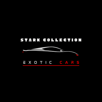 EXOTIC CARS LOGO branding design graphic design illustration logo
