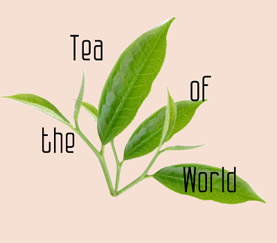 Tea of the World branding design