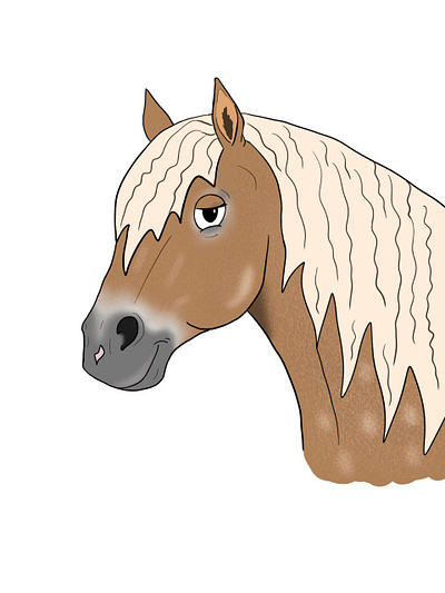 Haflinger animal design graphic design horse illustration illustrations