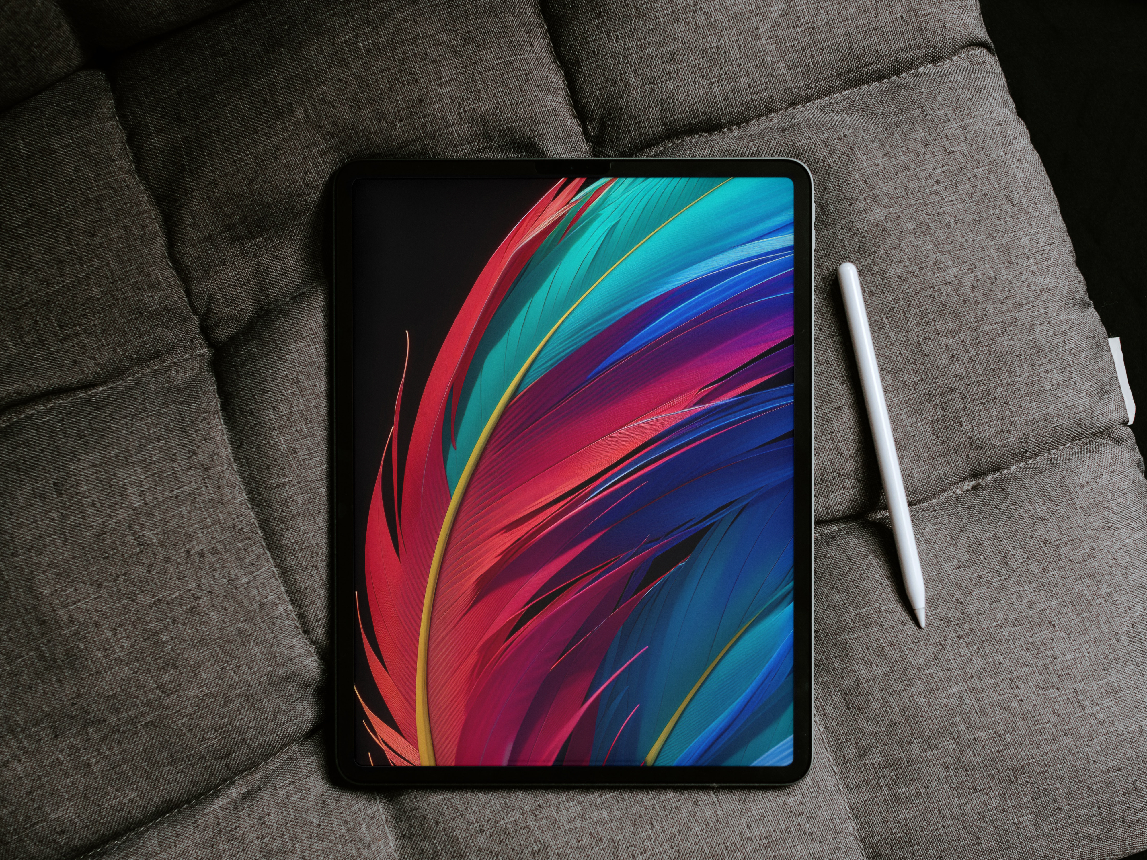 Free Freathers colors feather free generative wallpaper