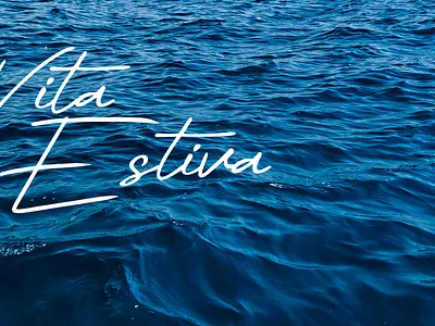 Vita Estiva - brand design branding design graphic design logo