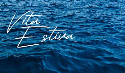 Vita Estiva - brand design branding design graphic design logo