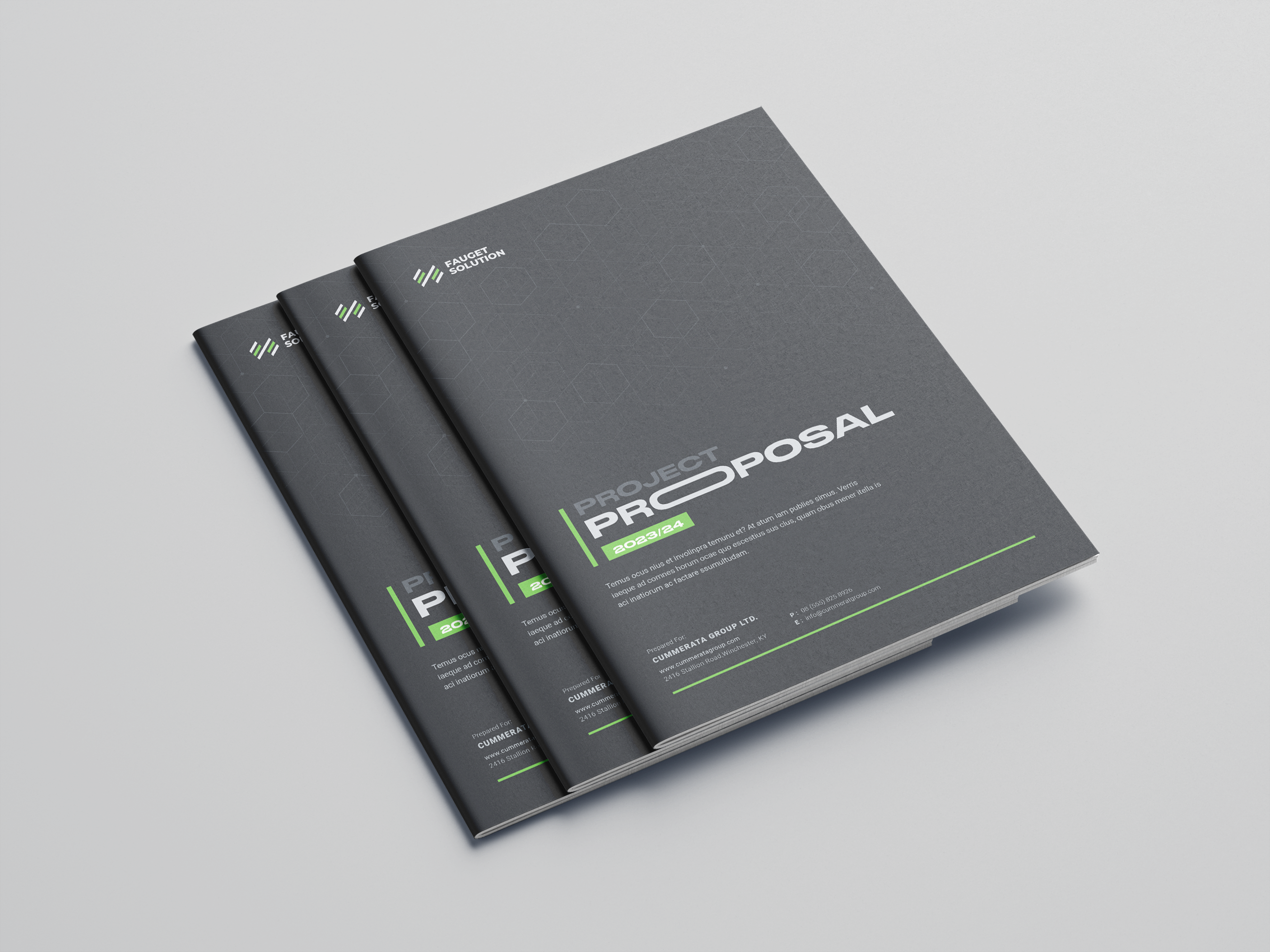 Project Proposal annual report brand manual branding design graphic design proposal proposal template
