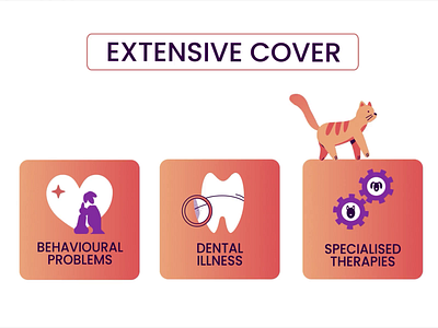 ExtrasJar Innovative health and pet coverage animation project 2d illustration animation animation 2d app explainer cat cat animation cat mascot character animation character design explainer explainer video extrasjar extrasjar pet health insurance insurance motion graphics pet pet care pet insurance veterinary